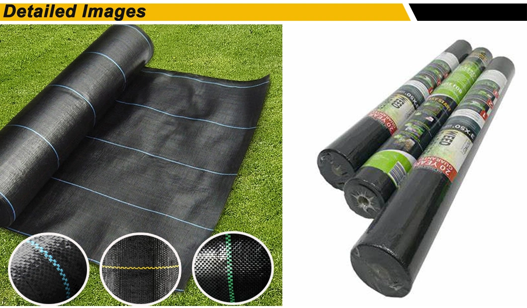 High Quality PP Woven Geotextile Weed Control Fabric for Greenhouse Nurseries